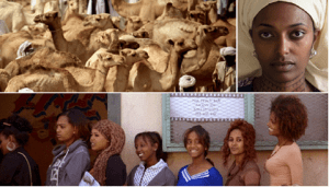 festival cinema africano