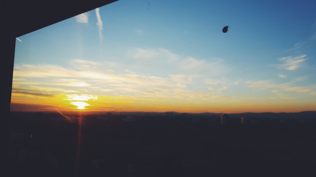 Processed with VSCO with f2 preset