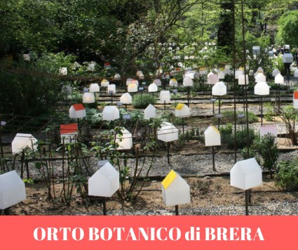ORTO BOTANICO di BRERA.jpg