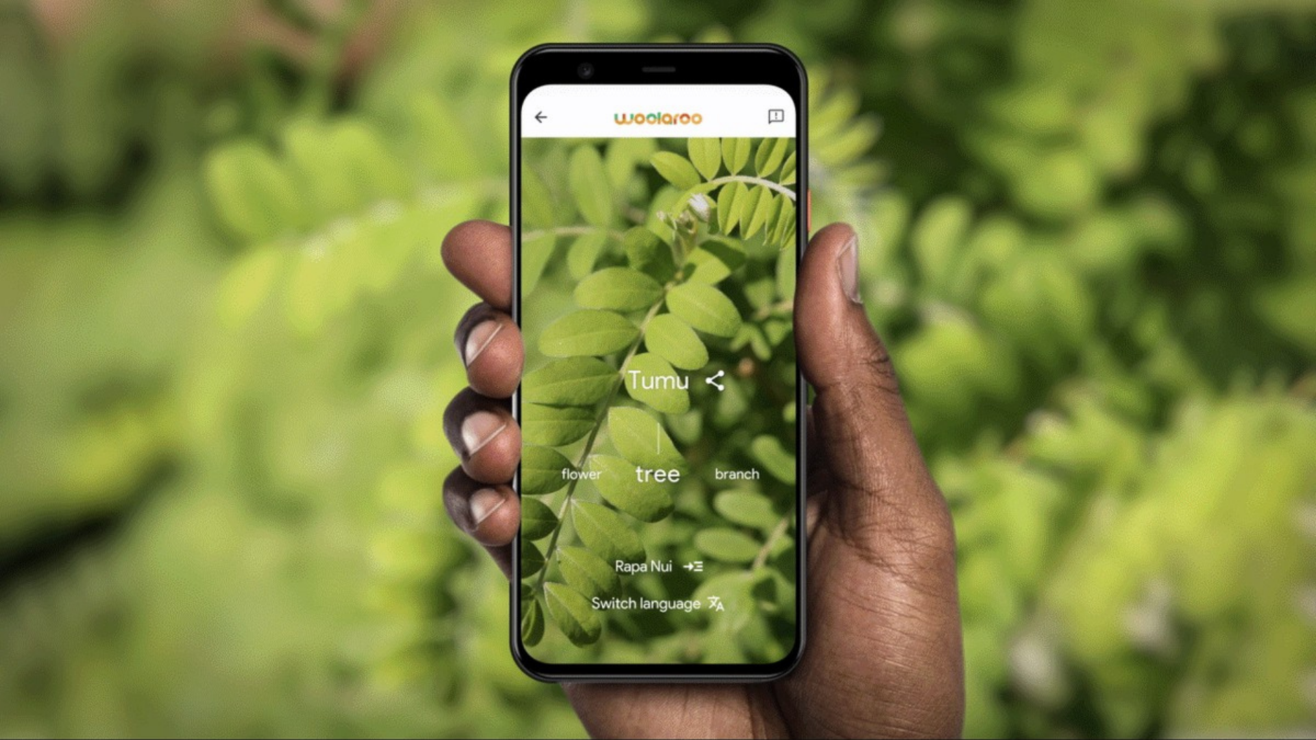 Woolaroo WOOLAROO: GOOGLE SALVAGUARDA LE LINGUE IN VIA DI ESTINZIONE – CIMO